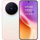 Vivo X300