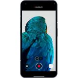 Nothing Phone