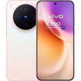 Vivo X300