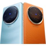 Vivo X100