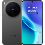 Vivo X300