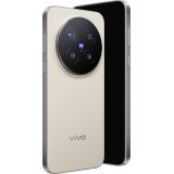 Vivo X300 Pro