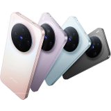 Vivo X300